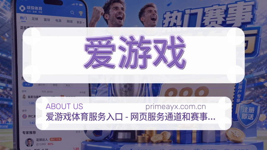 爱游戏服务范围介绍